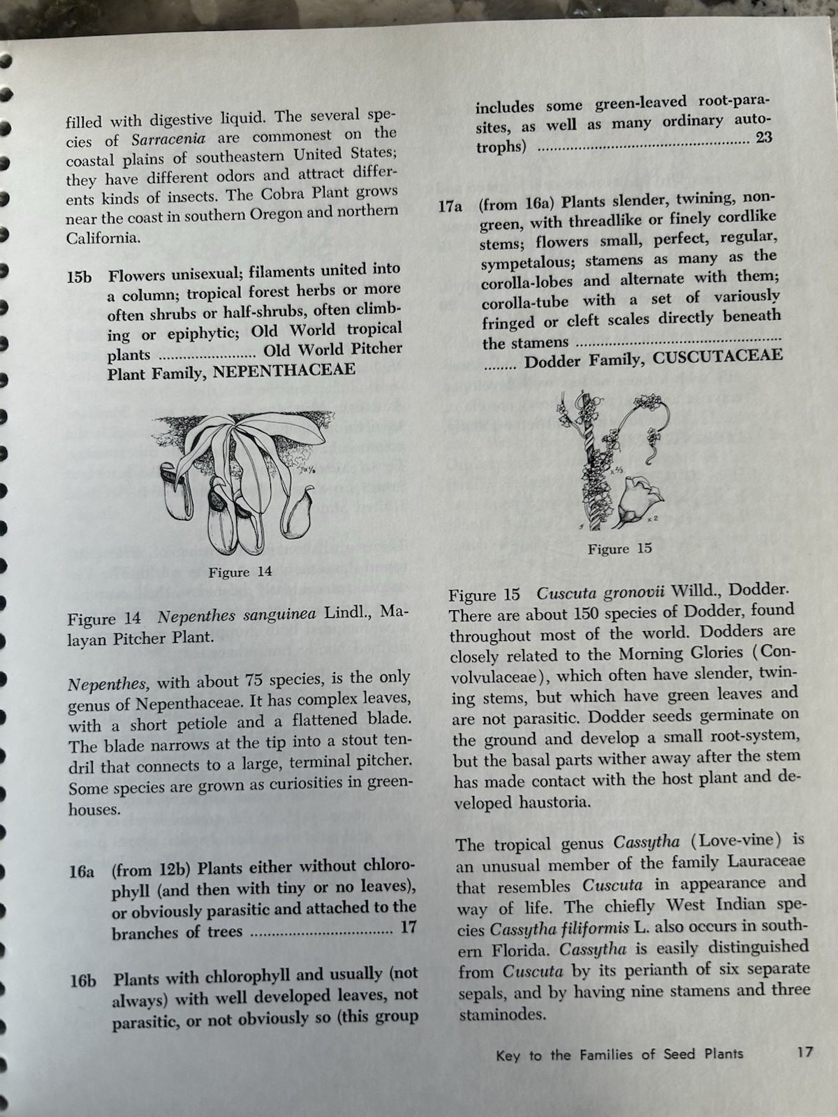 How To Know the Seed Plants By Arthur Cronquist spiral bound paperback