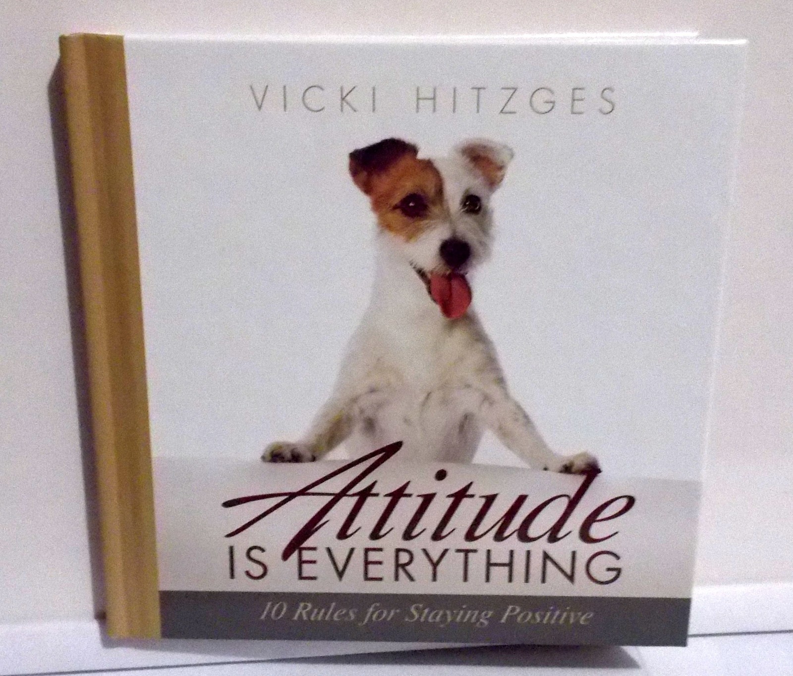 Attitude is Everything: 10 Rules for Staying Positive