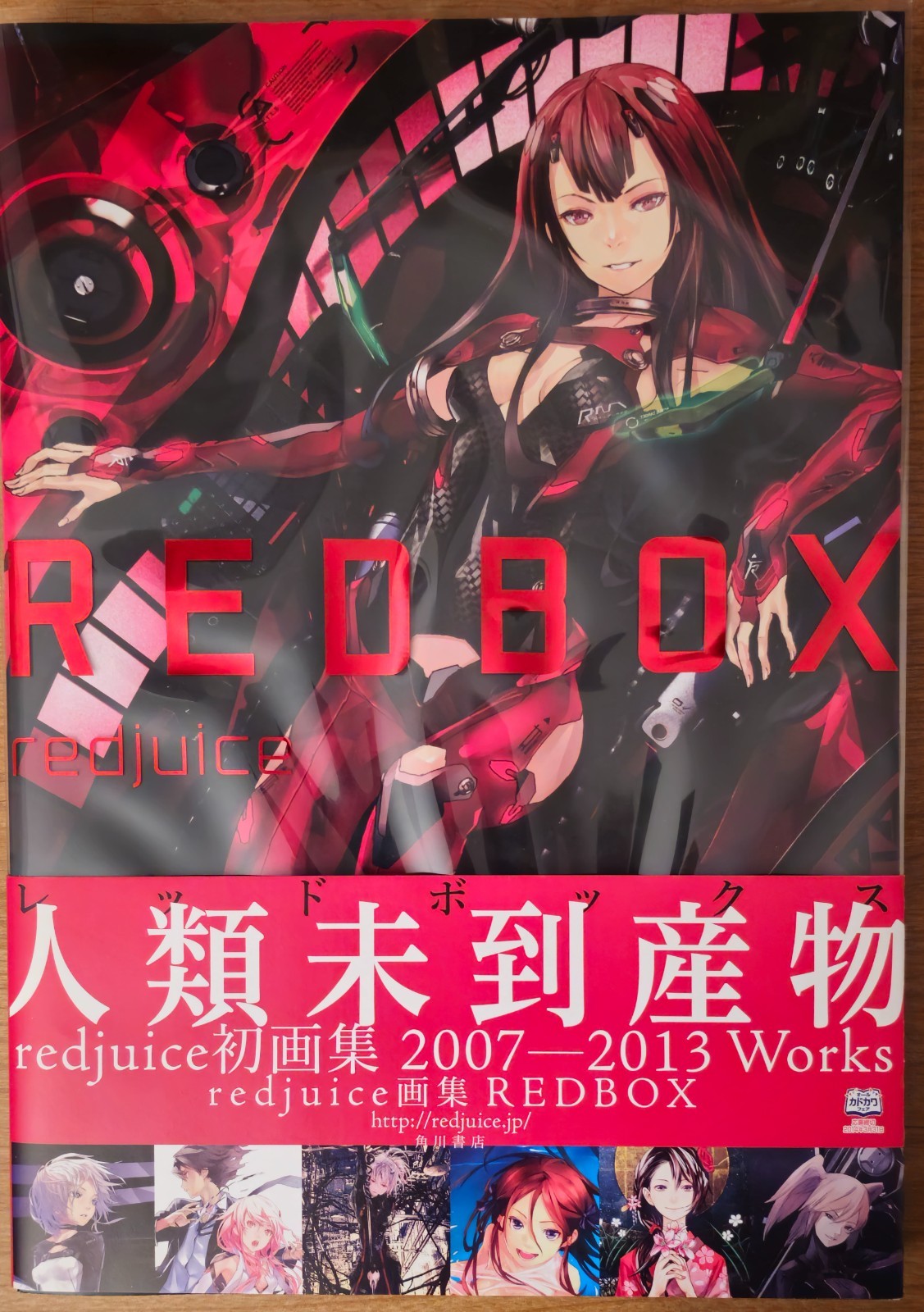 Redjuice Art Book Redbox; Guilty Crown, Beatless, Vocaloid Illustration Kadokawa