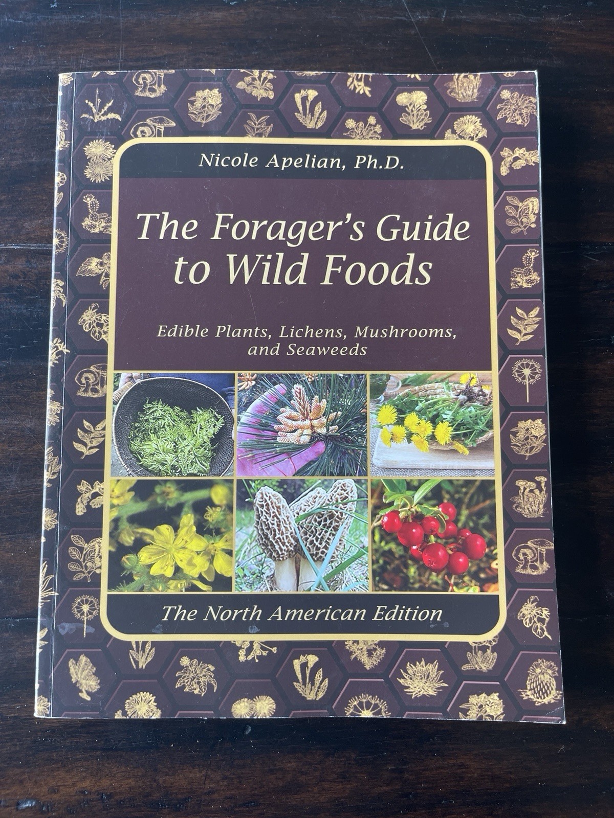 The Forager’s Guide to Wild Foods North American Edition by Nicole Apelian
