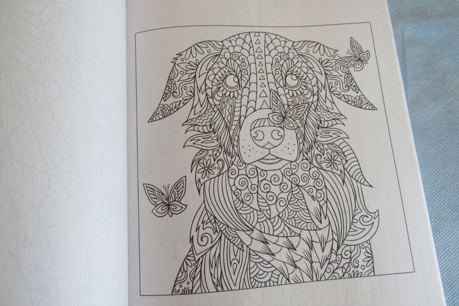 Kaleidoscope Coloring Book Majestic Creatures 47 Prints Ready To Frame Vol 25