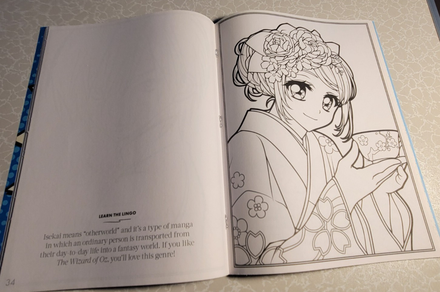MAGNA COLORING – ADULT COLORING BOOK – 32 INSPIRING DESIGNS TO COLOR – Anime