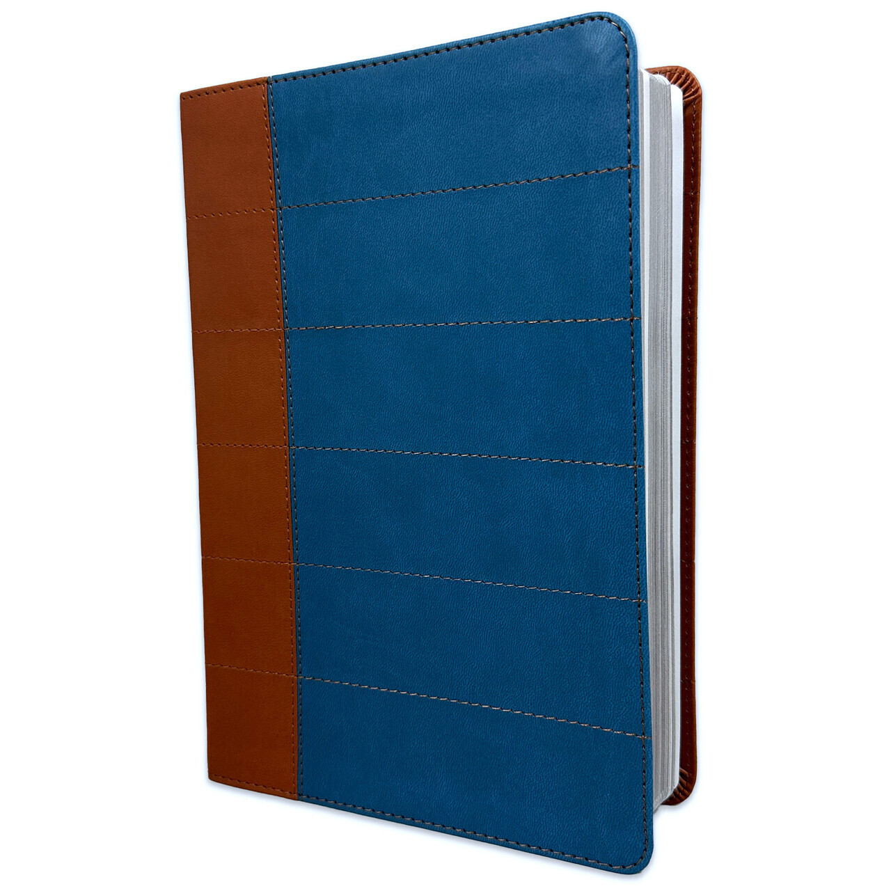 Biblia Pastoral Thompson RV1960 Edición para el estudio bíblico azul