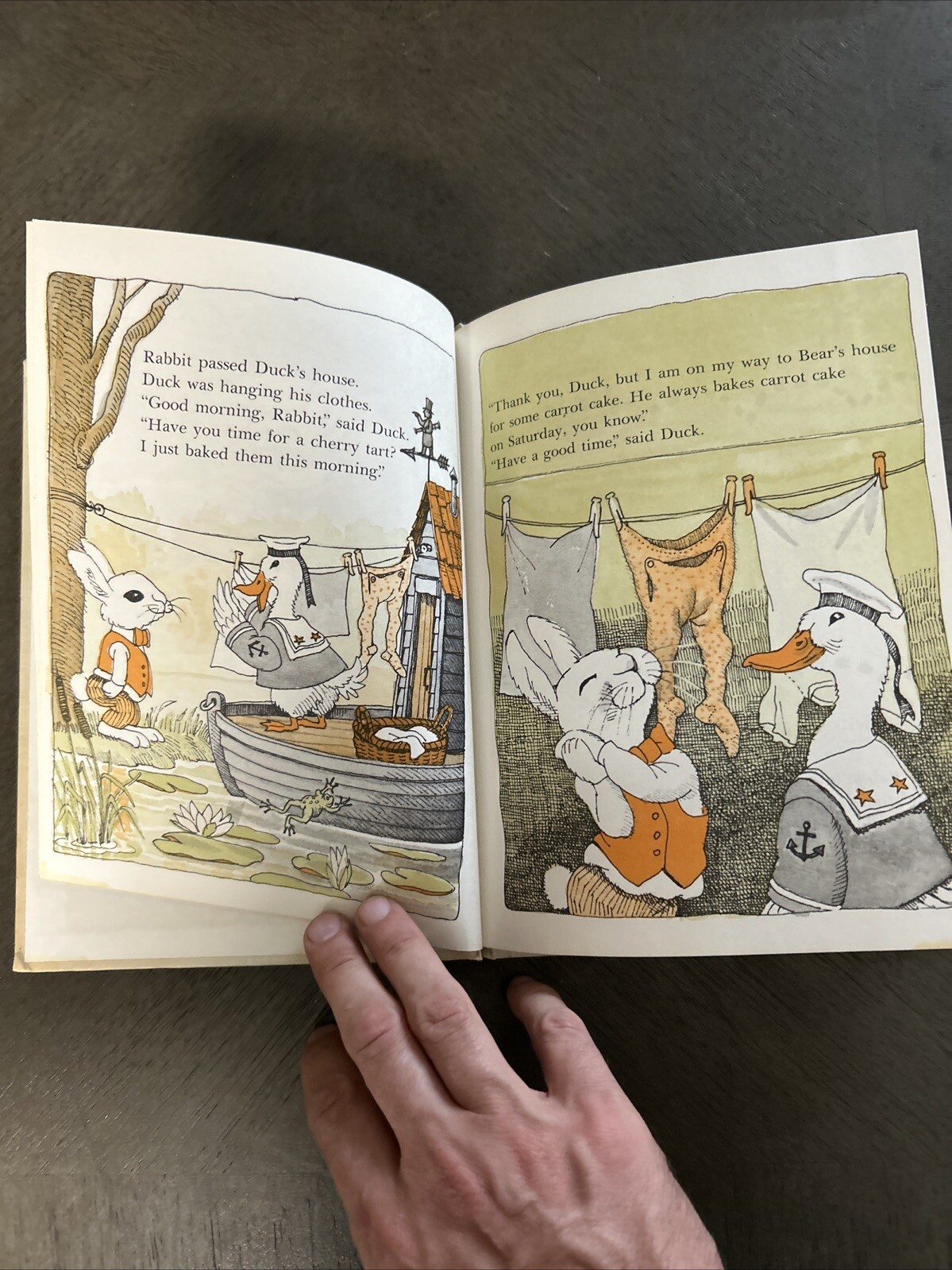 Rabbit Finds a Way by Judy Delton (1975, Hardcover)
