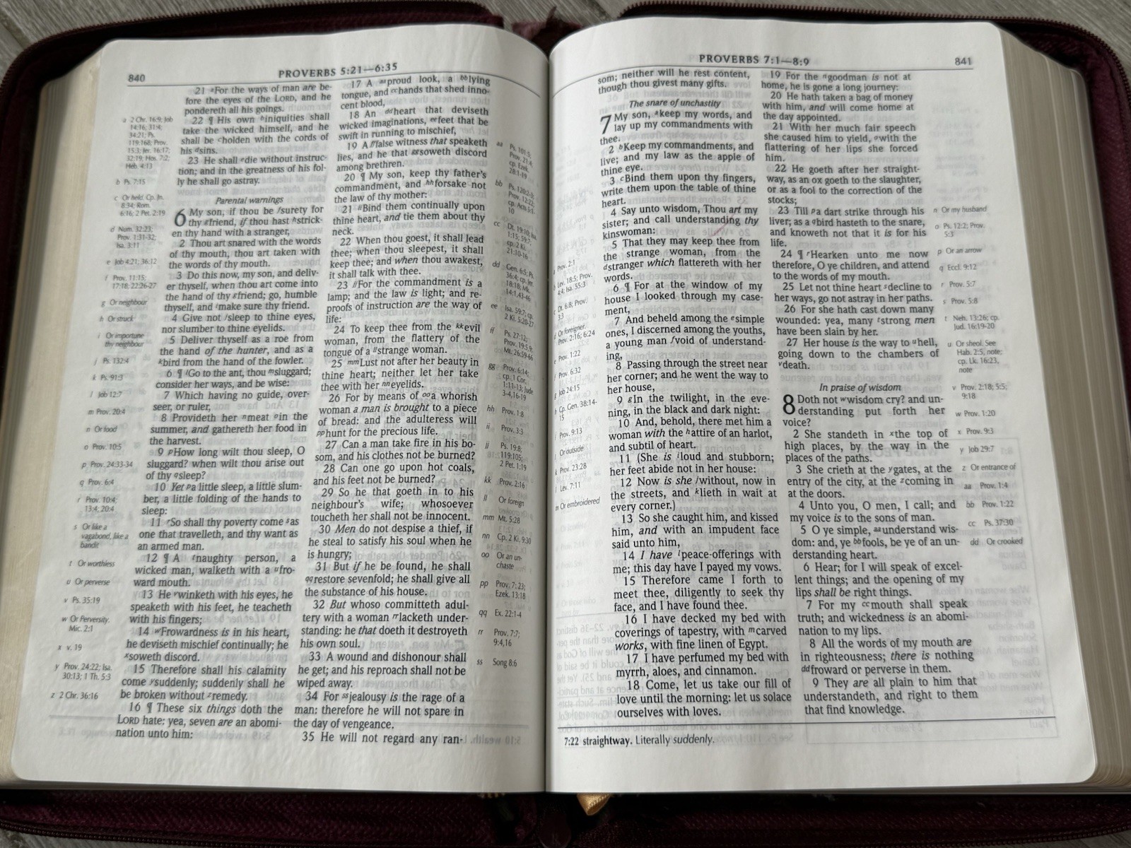 ✝️ Holy Bible Scofield Study System KJV Red Letter 522RRLZ Oxford Zippered Maps