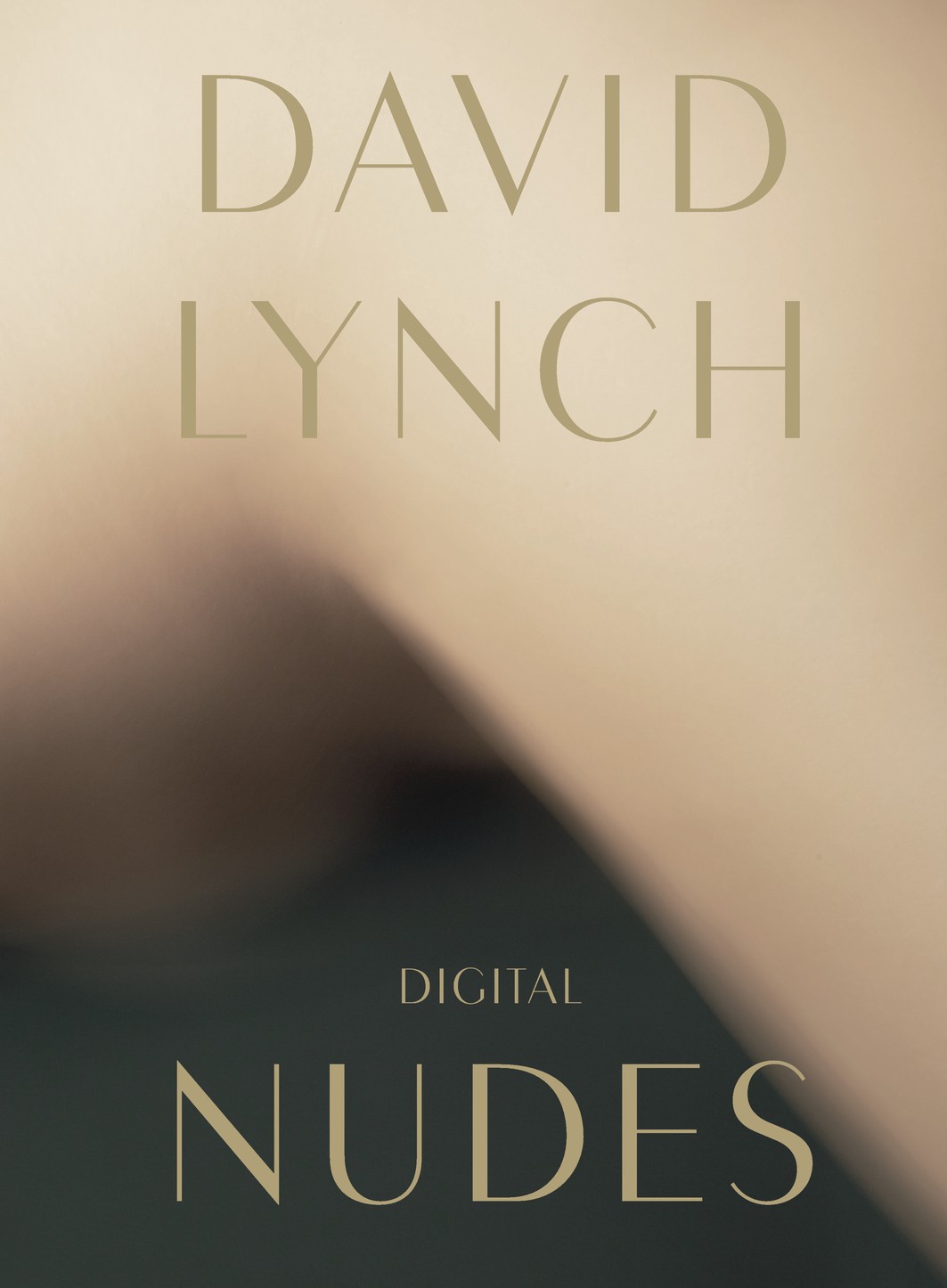 David Lynch: Digital Nudes [Hardcover]