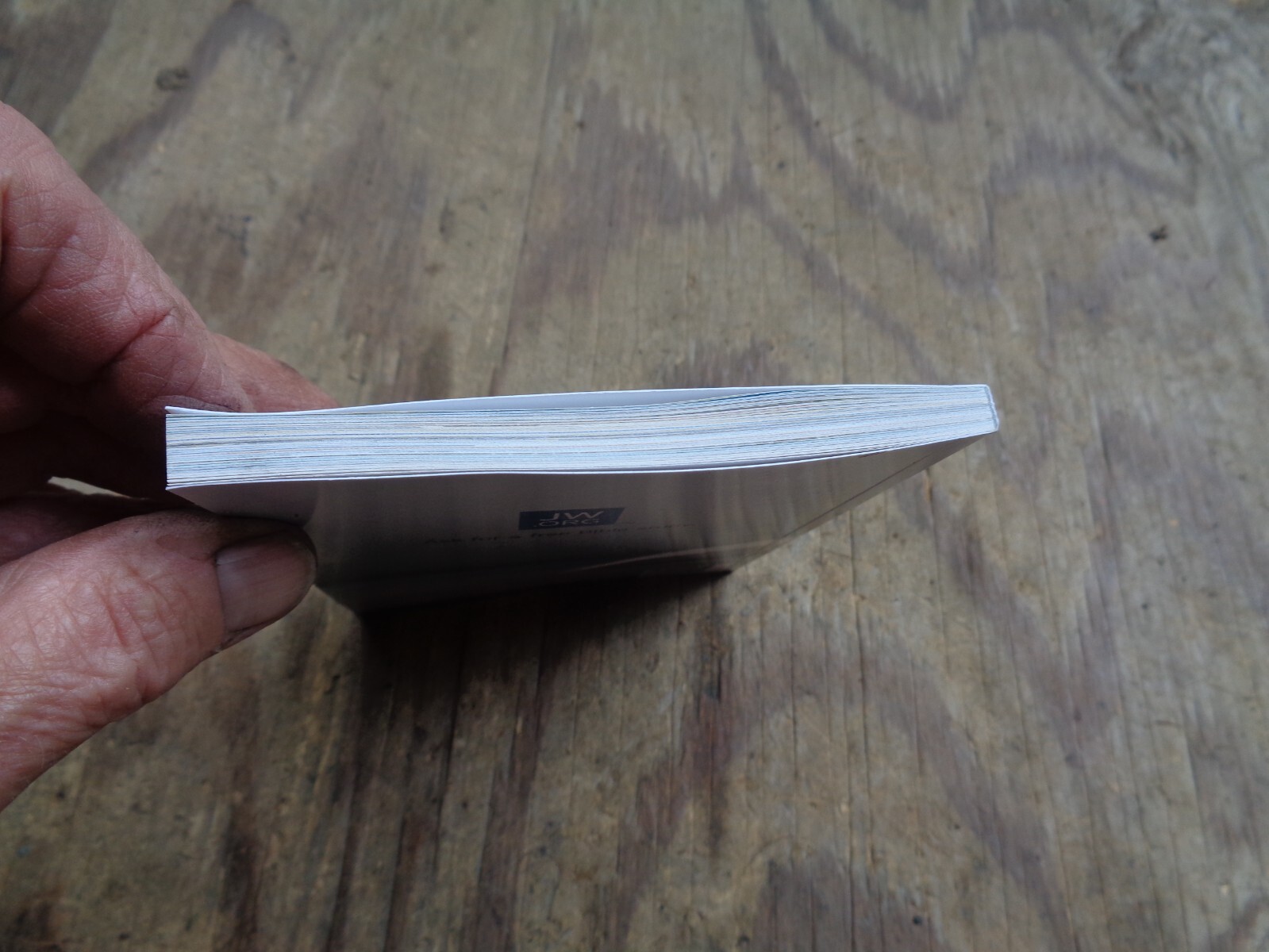 “WHAT DOES THE BIBLE REALLY TEACH?”. 2016. 223 pages. Paperback. Watchtower