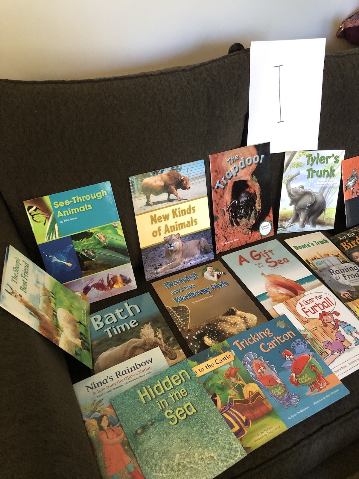 First Grade Reading Books — HOME SCHOOL — Grade 1 Like New 10 Different $15