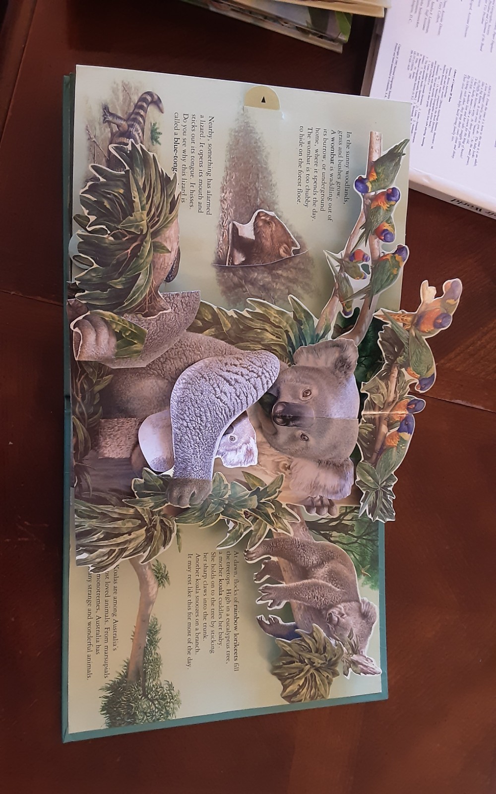 Dinosaurs National Geographic Action Book Lot 5 African Lion Australia Monkeys
