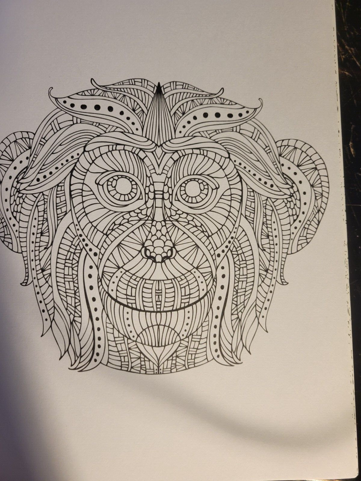 MAGNIFICENT CREATURES Vol 18 – Adult Coloring Book by TOPIX MEDIA – 47 PRINTS