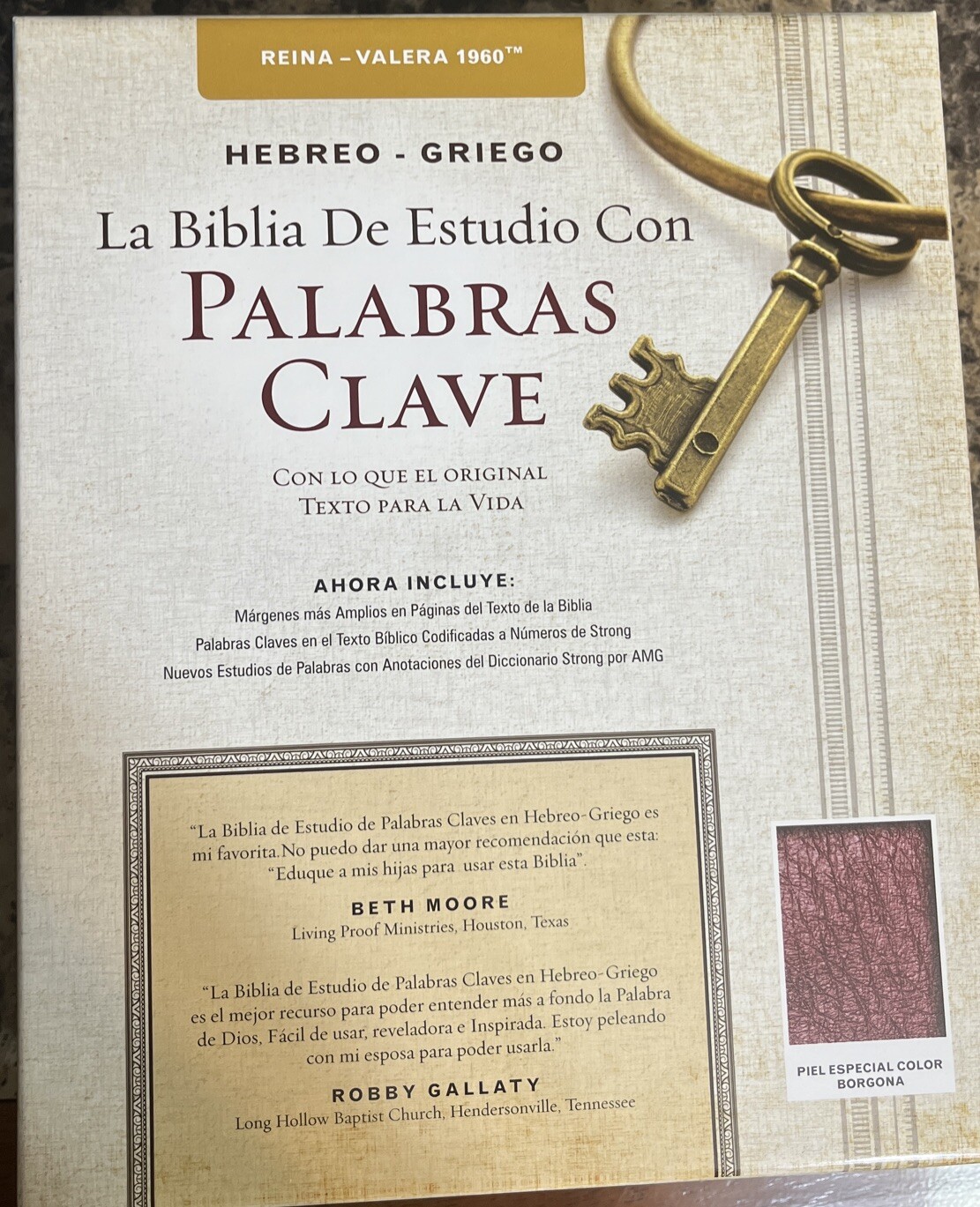 BIBLIA PALABRAS CLAVE DICCIONARIO HEBREO- GREIGO PIEL ESPECIAL BORGOÑA RV 1960