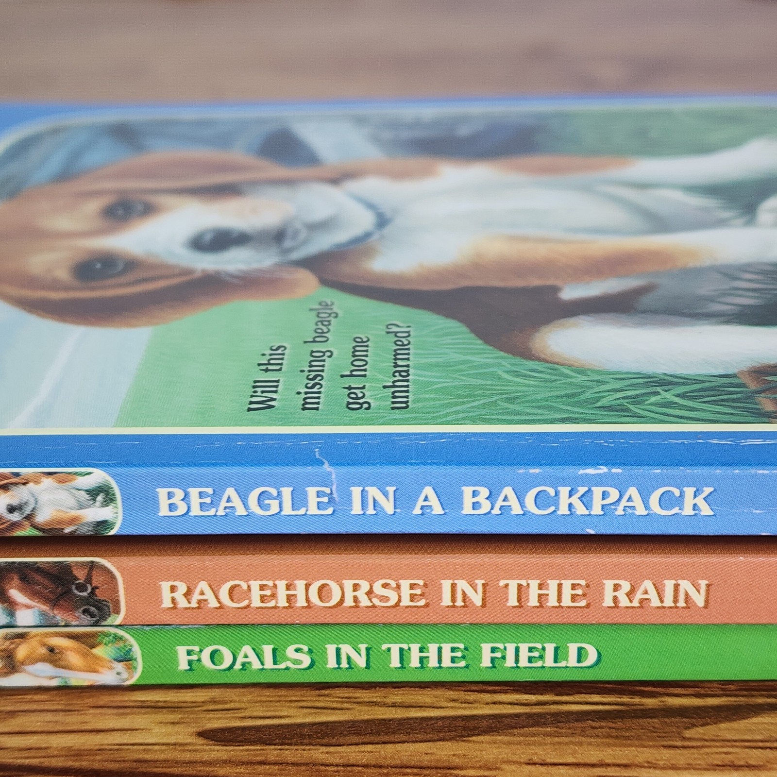 Animal Ark Book Lot of 3 by Ben M. Baglio Scholastic Kids Series Beagle Horse