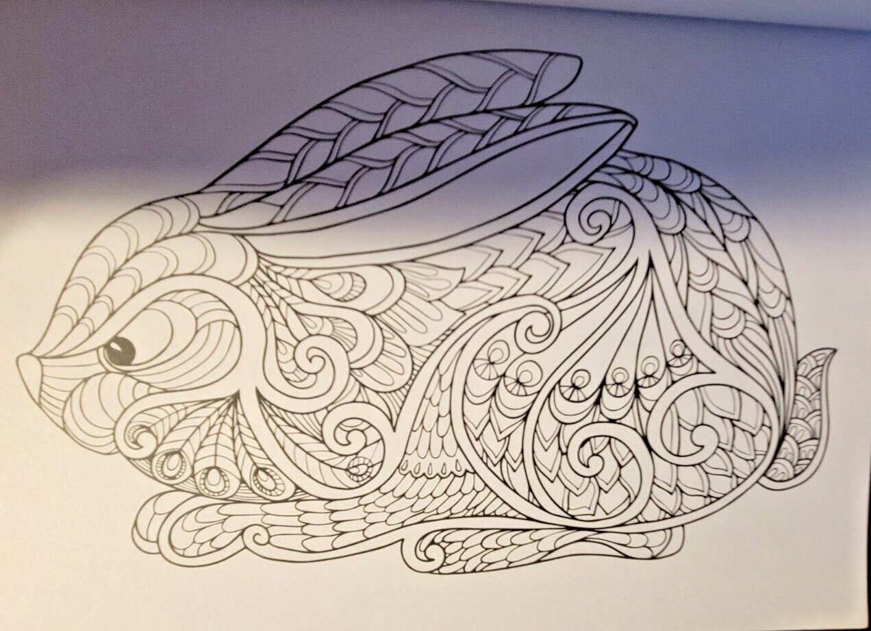 MAGNIFICENT CREATURES Vol 21 – Adult Coloring Book by TOPIX MEDIA – 47 PRINTS