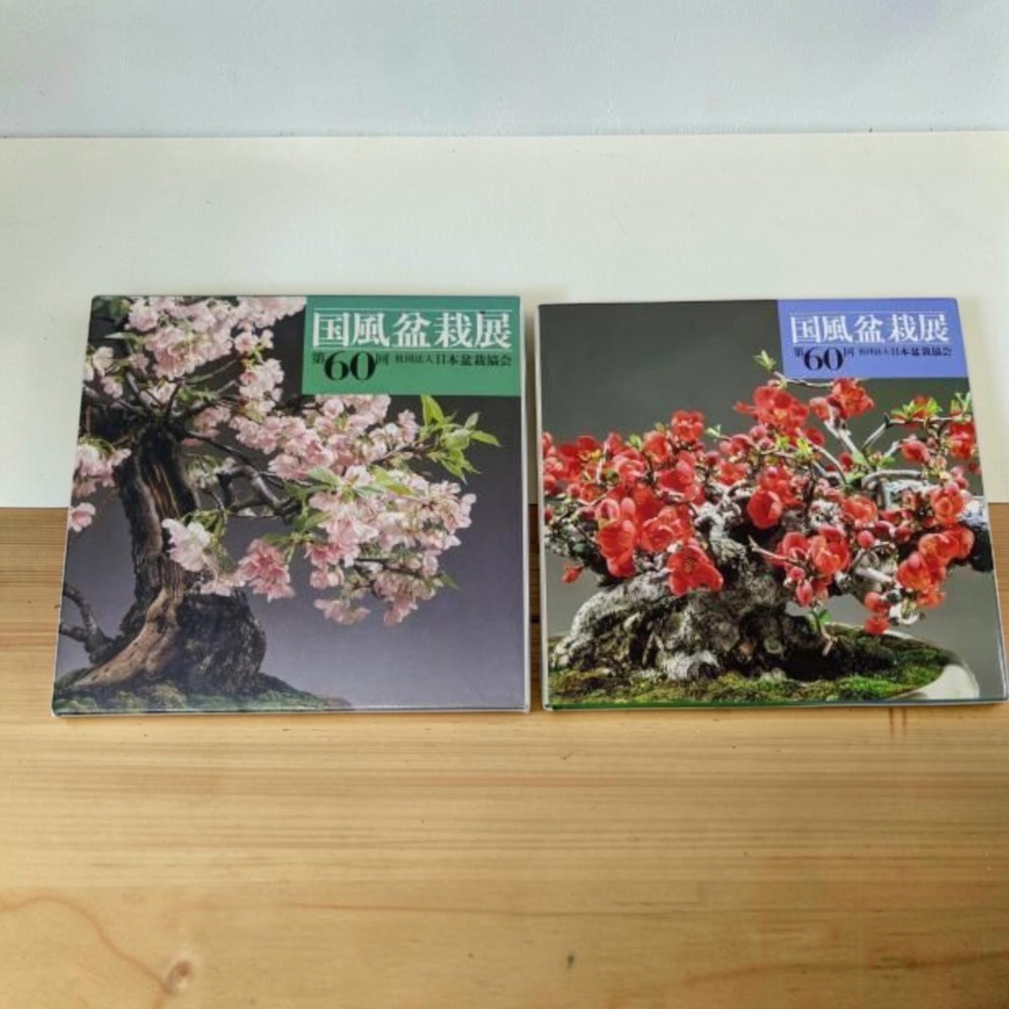 Kokufu Bonsai Exhibition Book Japan Bonsai Association 364 pages used