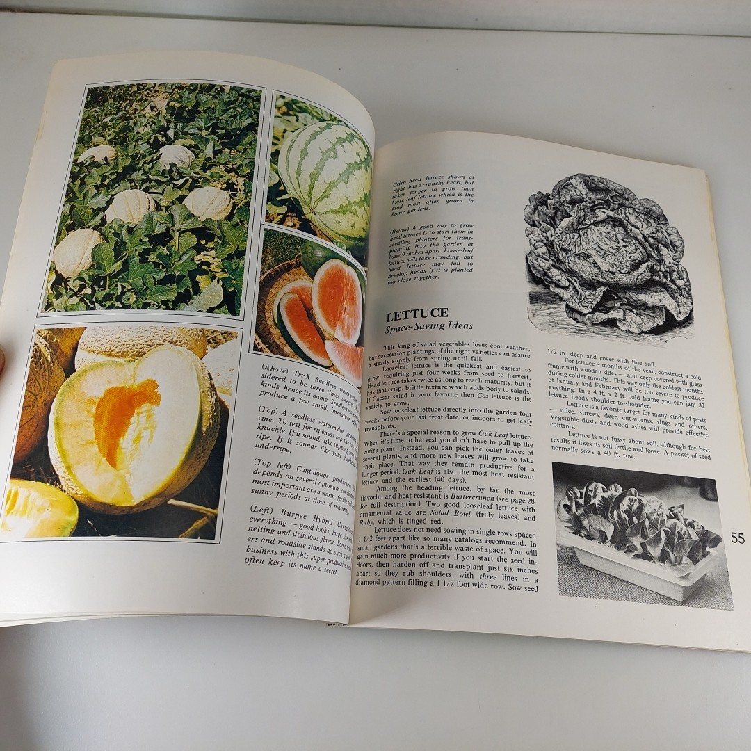 How To Plant A Vegetable Garden Derek Fell Countryside Books 1975 Illustrated PB