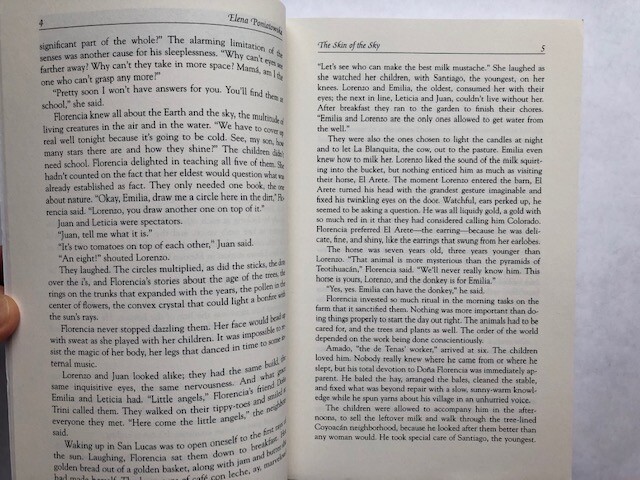 The Skin of the Sky by Elena Poniatowska, 322 pages all clean no damage or marks