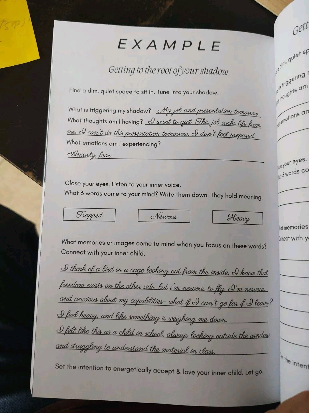 THE SHADOW WORK JOURNAL Guide Integrate & Transcend Your Shadows Self Help Book