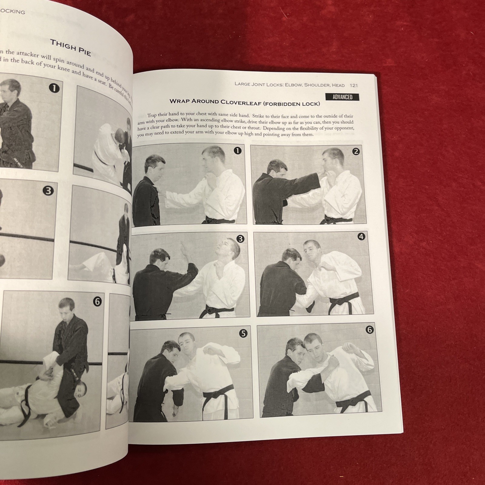THE ART OF JOINT LOCKING By Arlo Welty