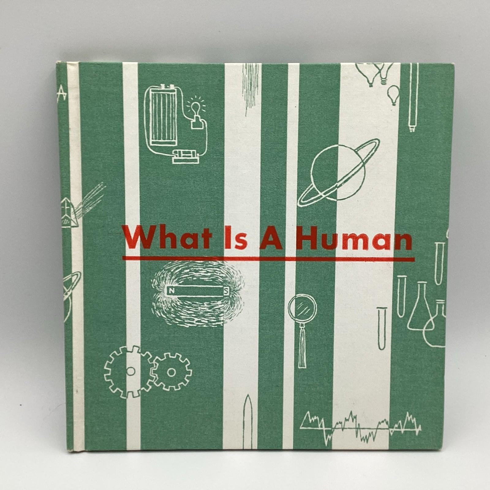WHAT IS A HUMAN, (what is series) 1964 Benefic Press, by Melvin Alexenberg