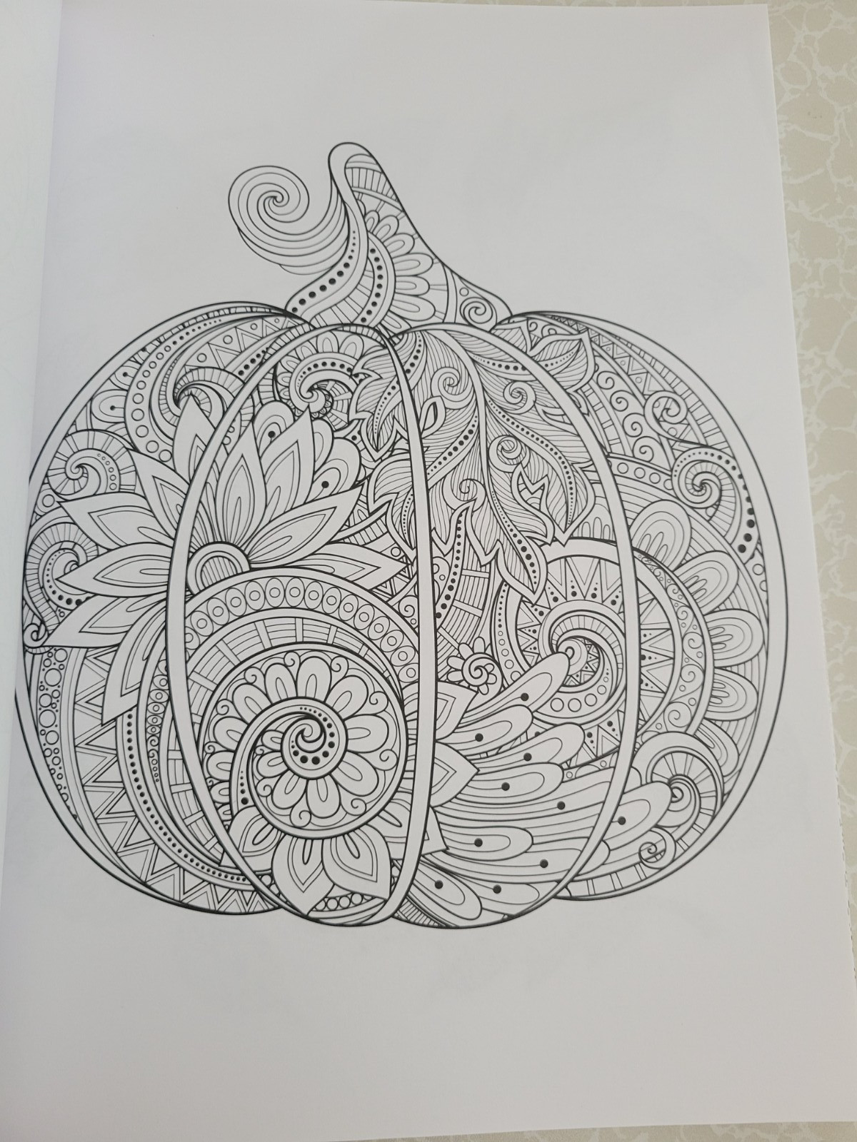 Harvest Home ADULT COLORING BOOK – Color Creatives -62 Designs Easing Stress Fun