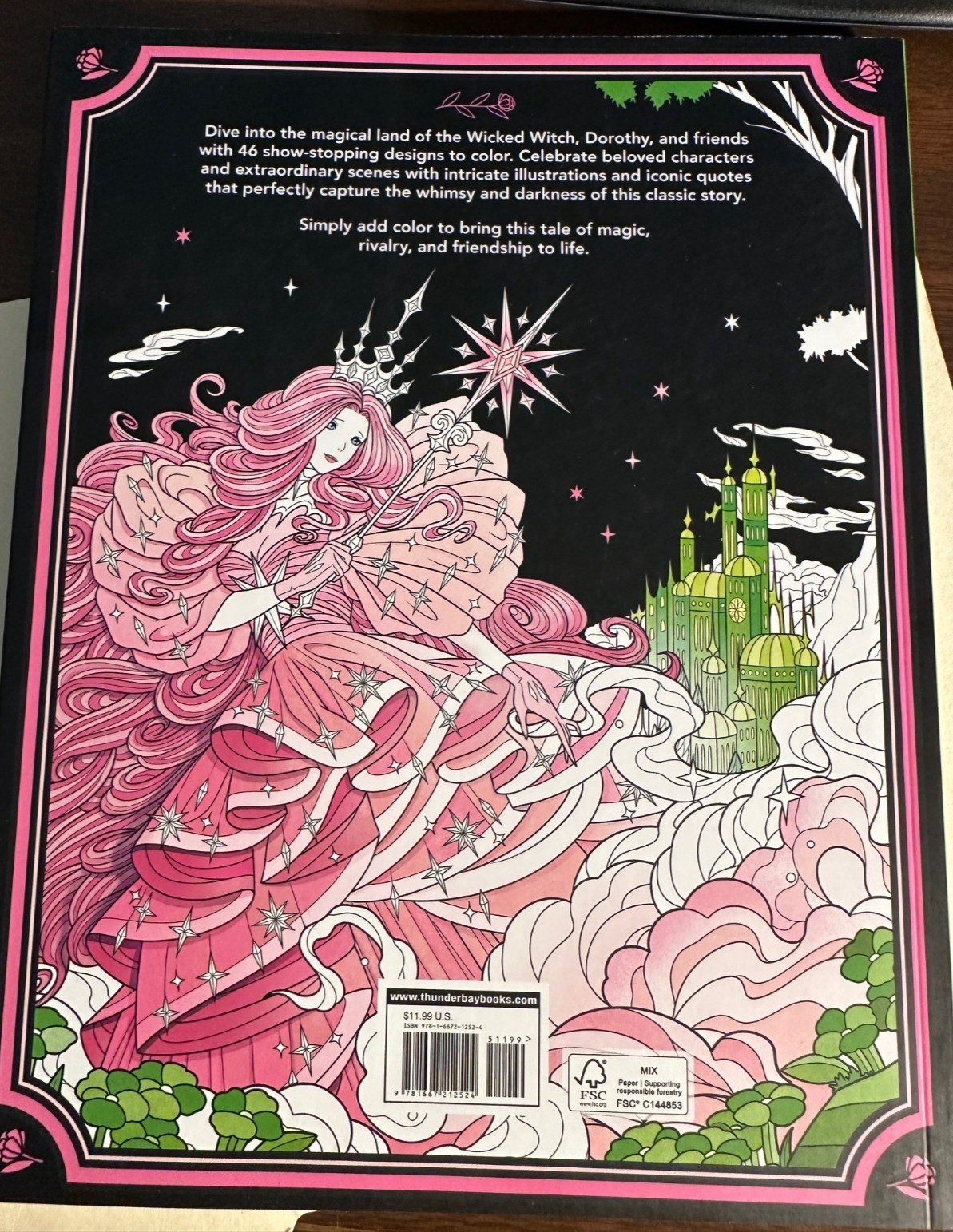 The Wicked Witch of Oz Adult Coloring Book 46 Pages brand NEW