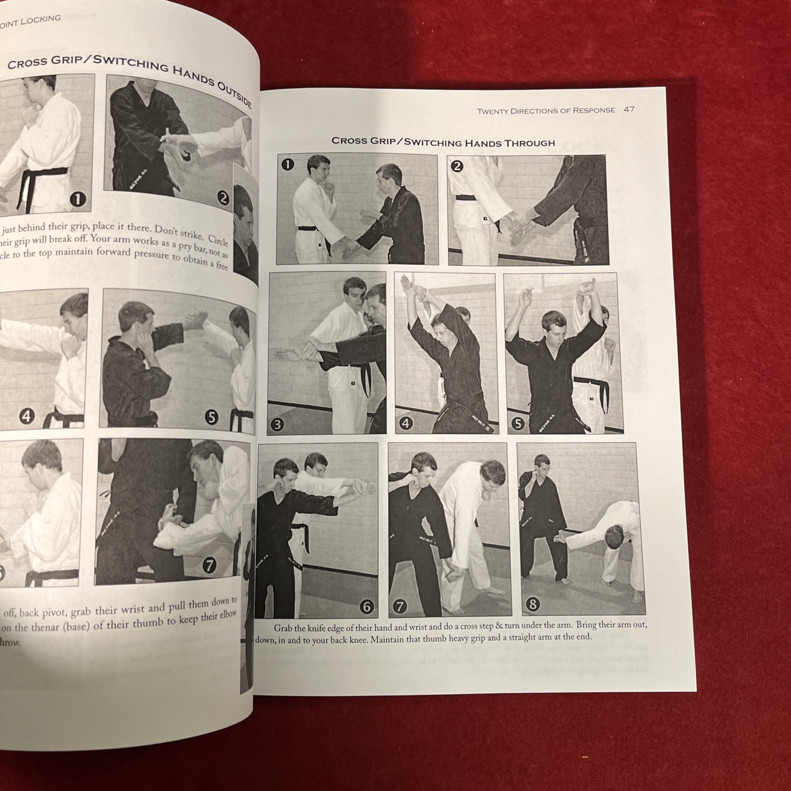 THE ART OF JOINT LOCKING By Arlo Welty