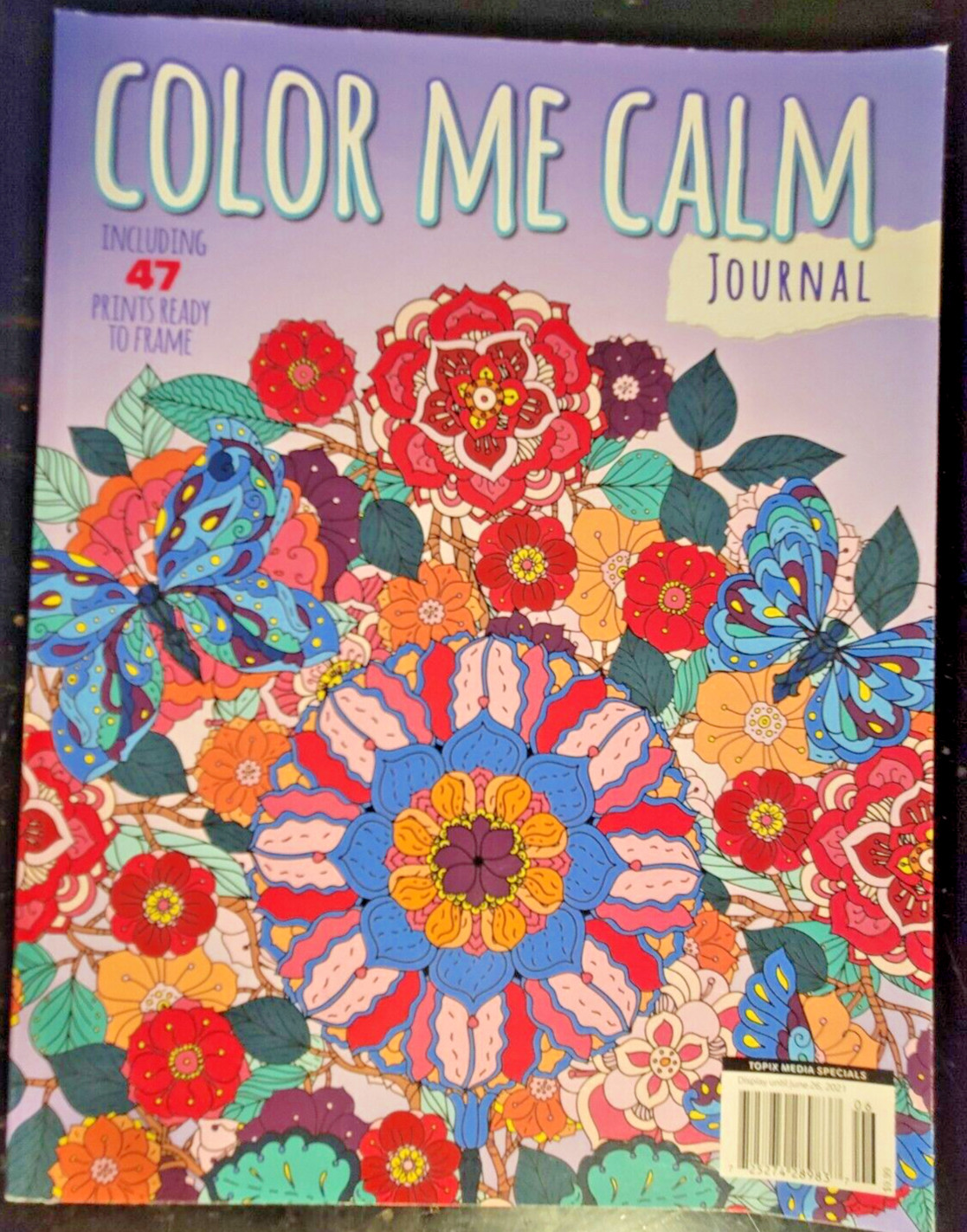 COLOR ME CALM JOURNAL Adult Coloring Book With 47 Prints Ready To Frame