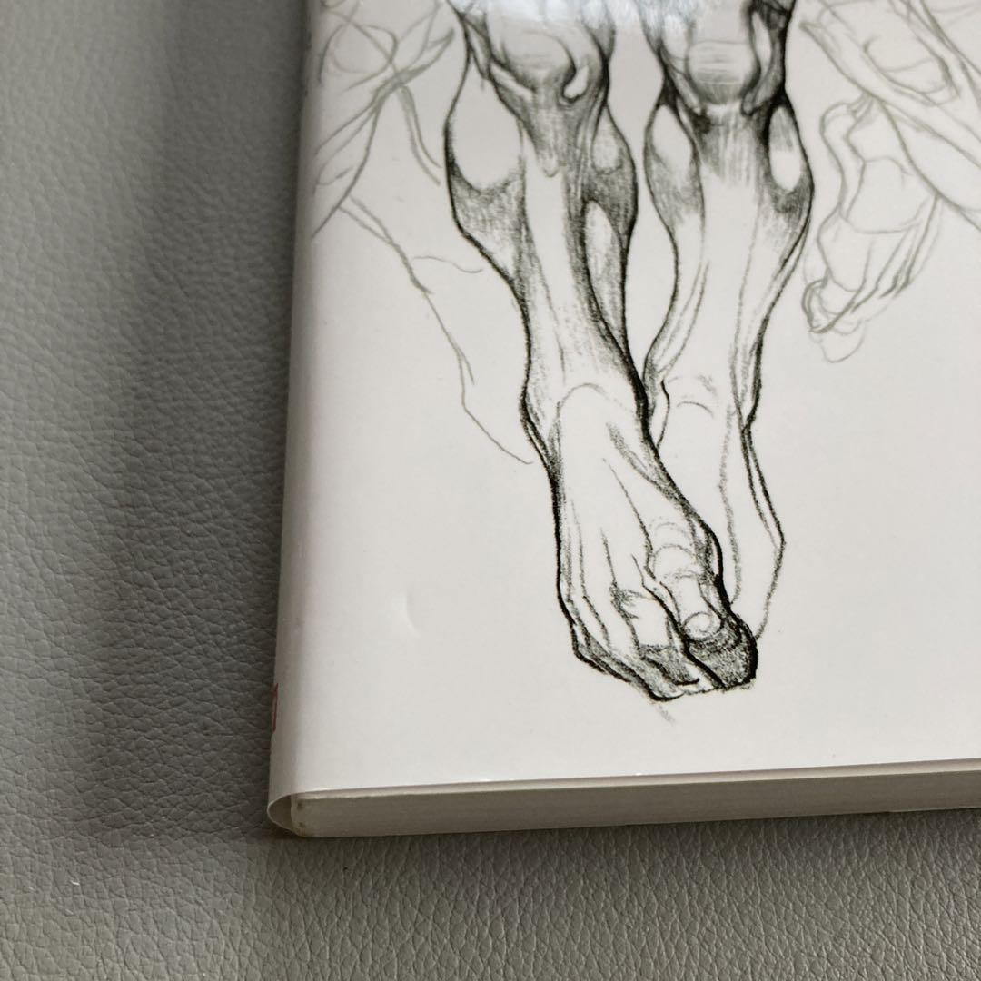 Master Guide to Drawing the Human Body Character Drawing from the Basics Book