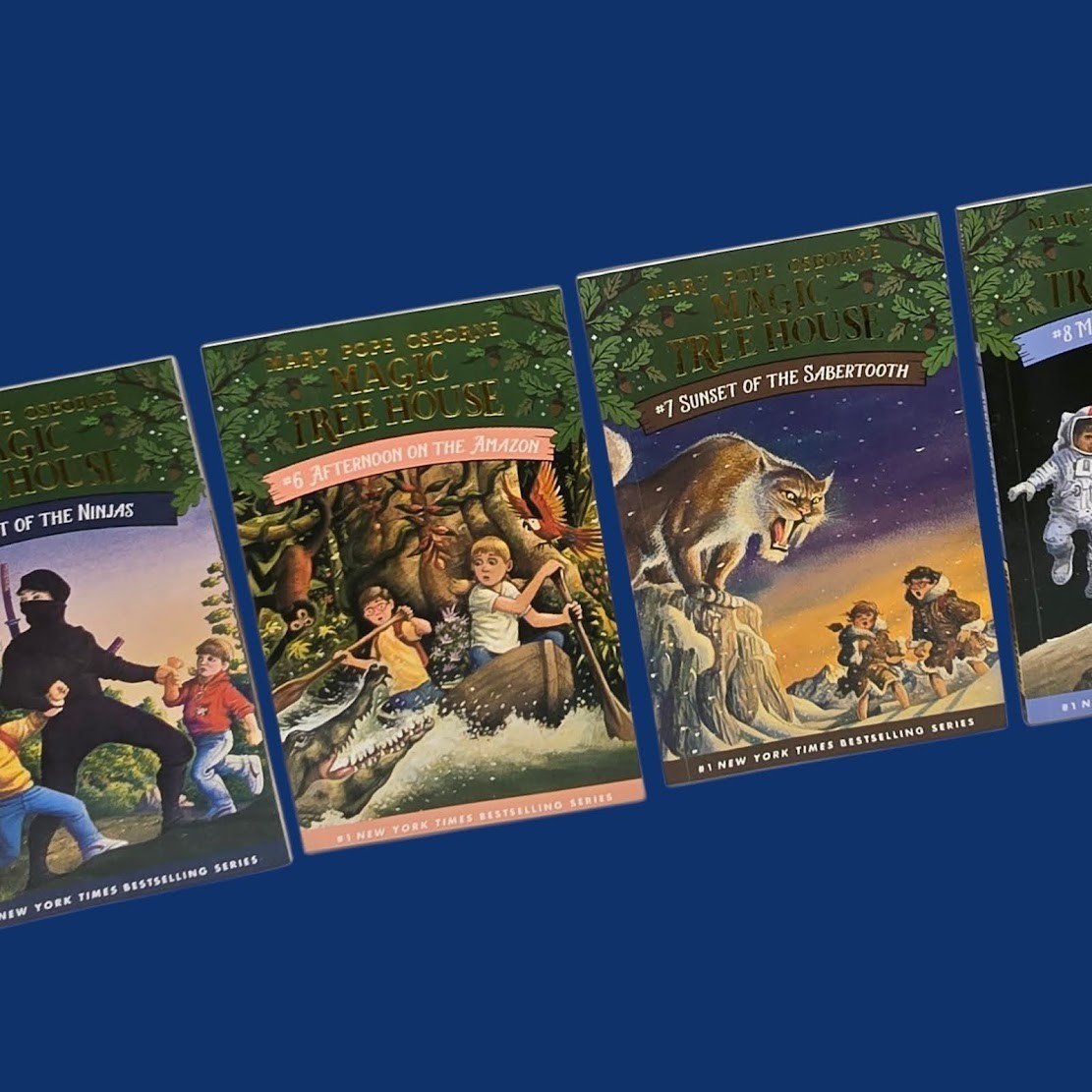 Set 3A: Magic Tree House A Library of Books 1-28 – Mary Pope Osborne Collection