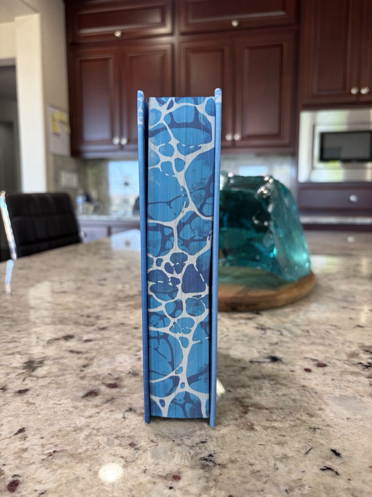 Deep End By Ali Hazelwood Special Edition