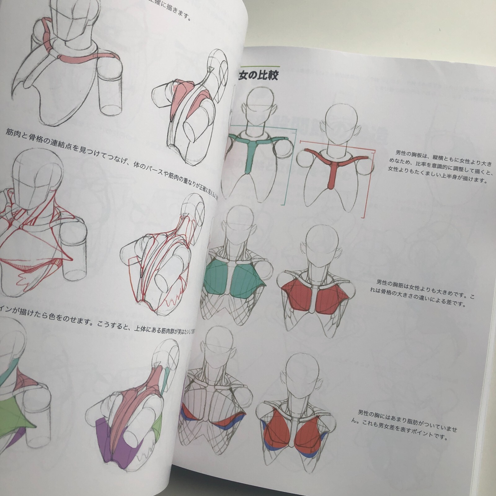 Master Guide to Drawing the Human Body: Character Drawing from the Basics Book