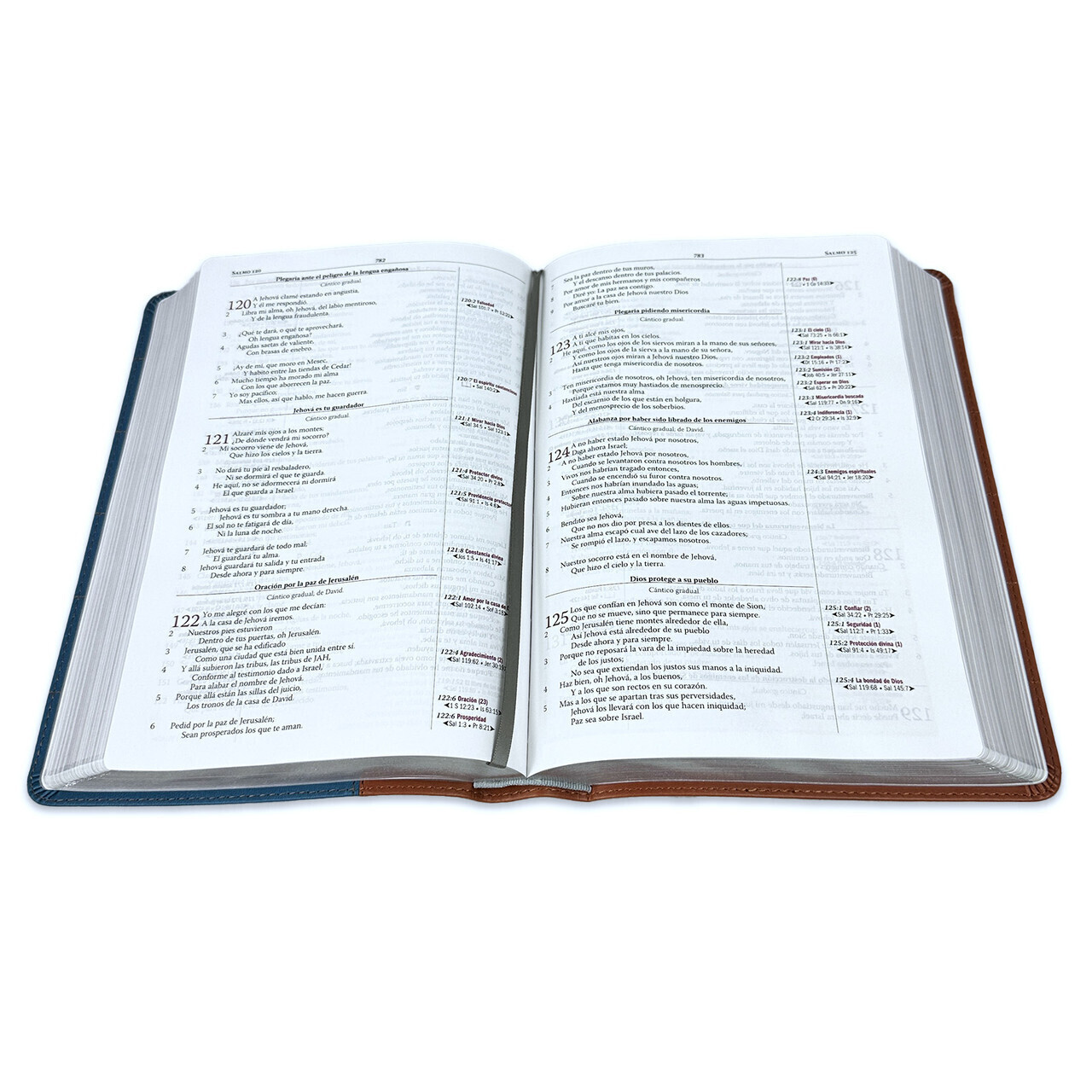 Biblia Pastoral Thompson RV1960 Edición para el estudio bíblico azul