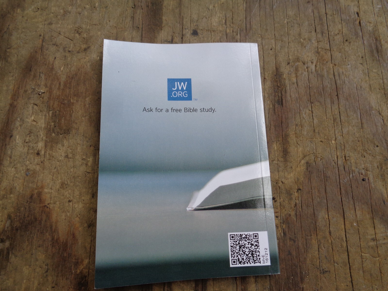 “WHAT DOES THE BIBLE REALLY TEACH?”. 2016. 223 pages. Paperback. Watchtower