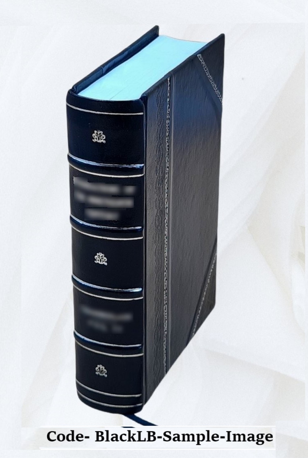 Missions-Taube 1879 [Leather Bound]