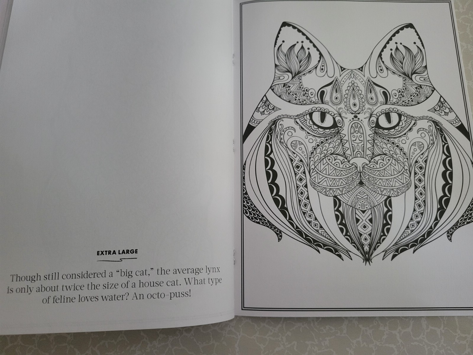 CAT COLORING ADULT COLORING BOOK – 2023 CENTENNIAL – 32 Inspiring Designs
