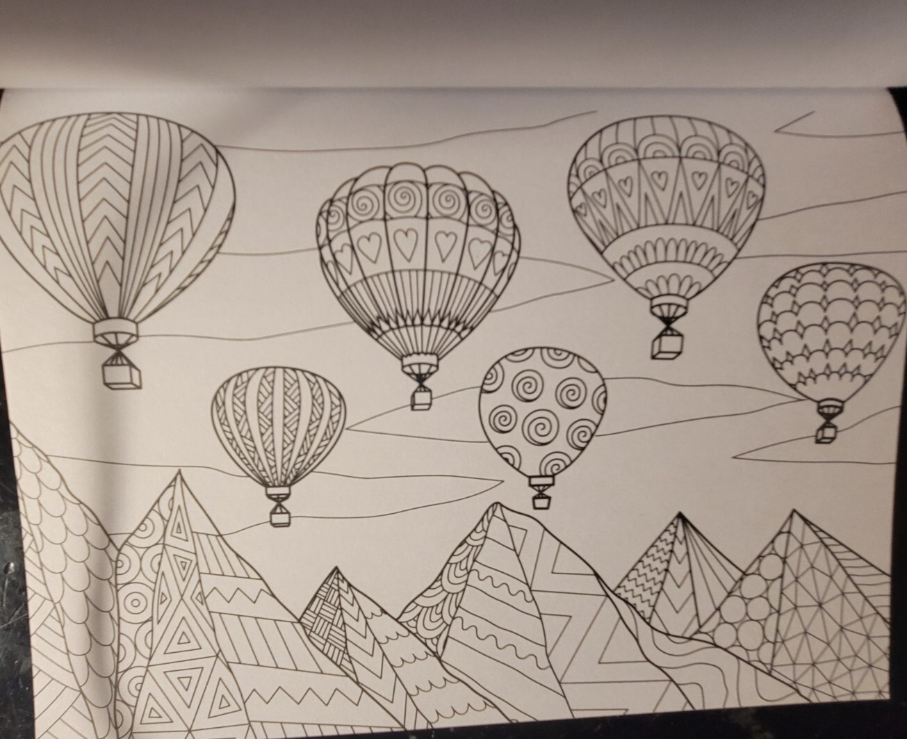 COLOR ME MAGNIFICENT Vol 11 Adult Coloring Book With 47 Prints Ready To Frame