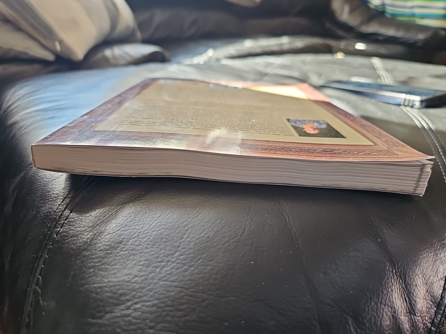 Forgotten Home Apothecary (paperback with color pictures)