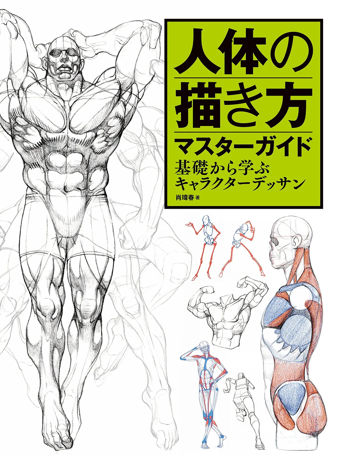 Japan NEW Master Guide to Drawing Human Figures Character Sketching Basics Manga