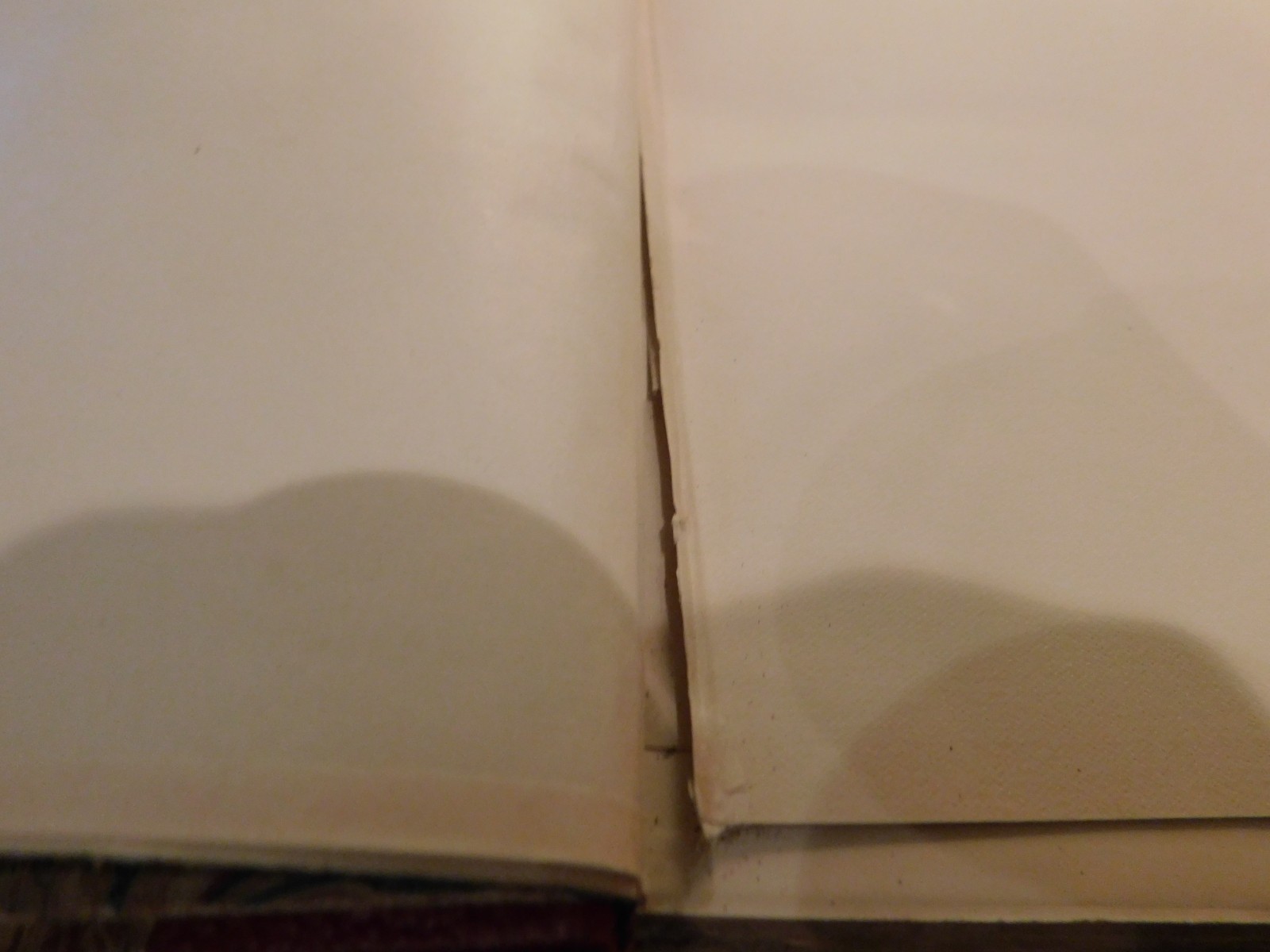 1901 15 Volumes ‘Honore de Balzac’ Illus. Book Lover Press Marbled Covers