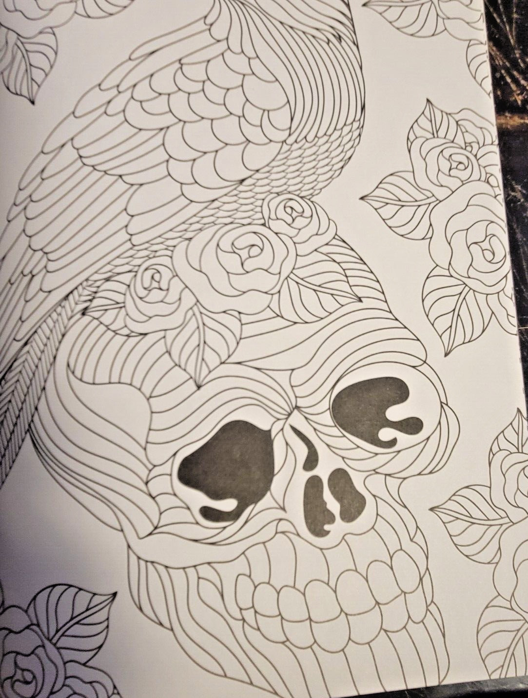 DAY OF THE DEAD Vol 5 Adult Coloring Book With 47 Prints Ready To Frame