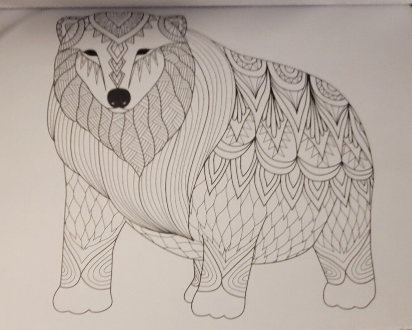 COLORS OF THE WILD Vol. 21 Adult Coloring Book With 47 Prints Ready To Frame!