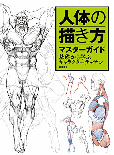 Master Guide to Drawing the Human Body Character Drawing from the Basics NEW
