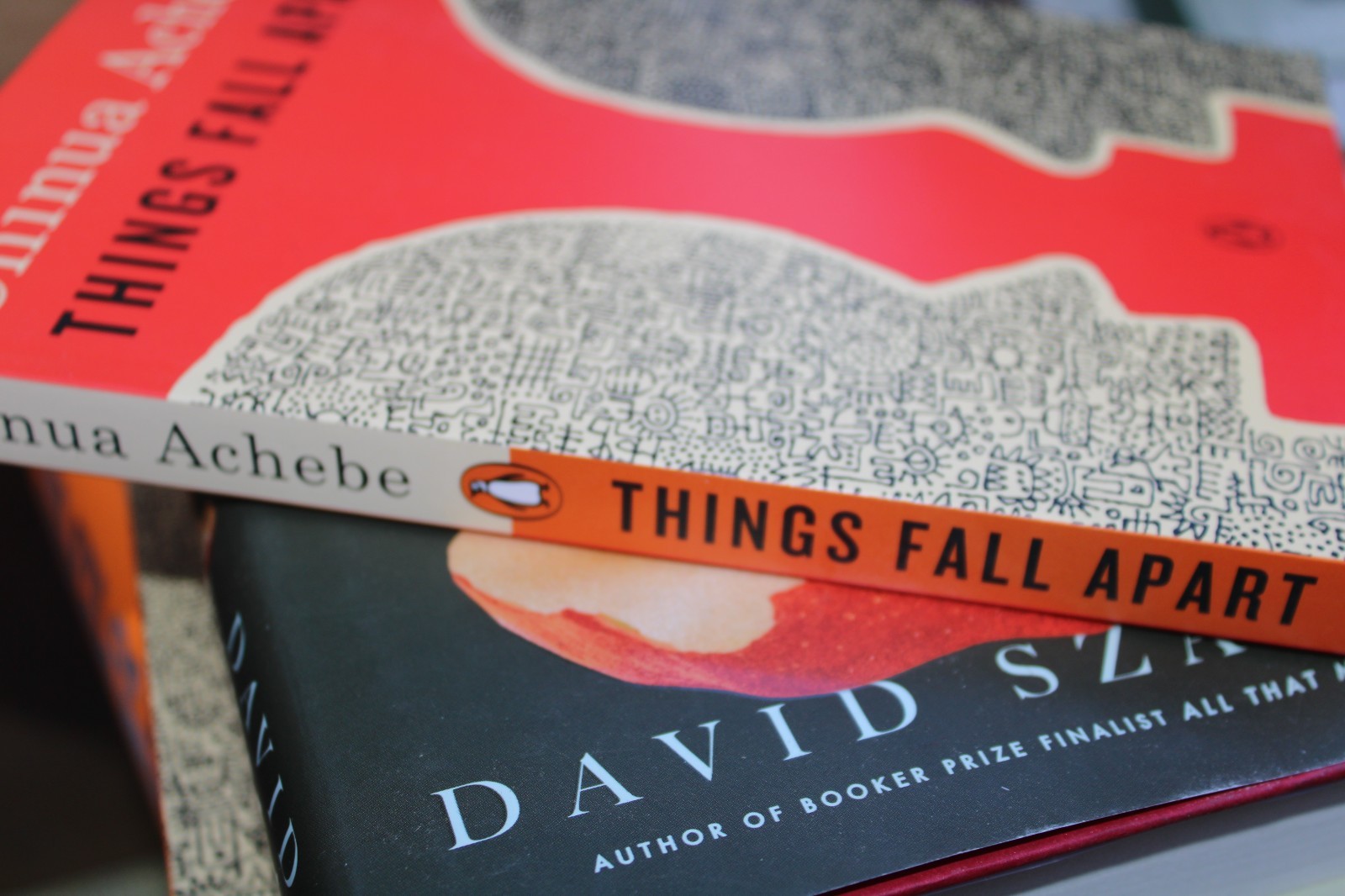 Things Fall Apart by Chinua Achebe – New Paperback