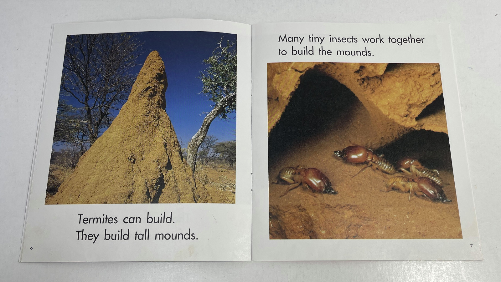 Animals Build, Adrienne Betz, 6 Pack Books, Grade 1 Level H