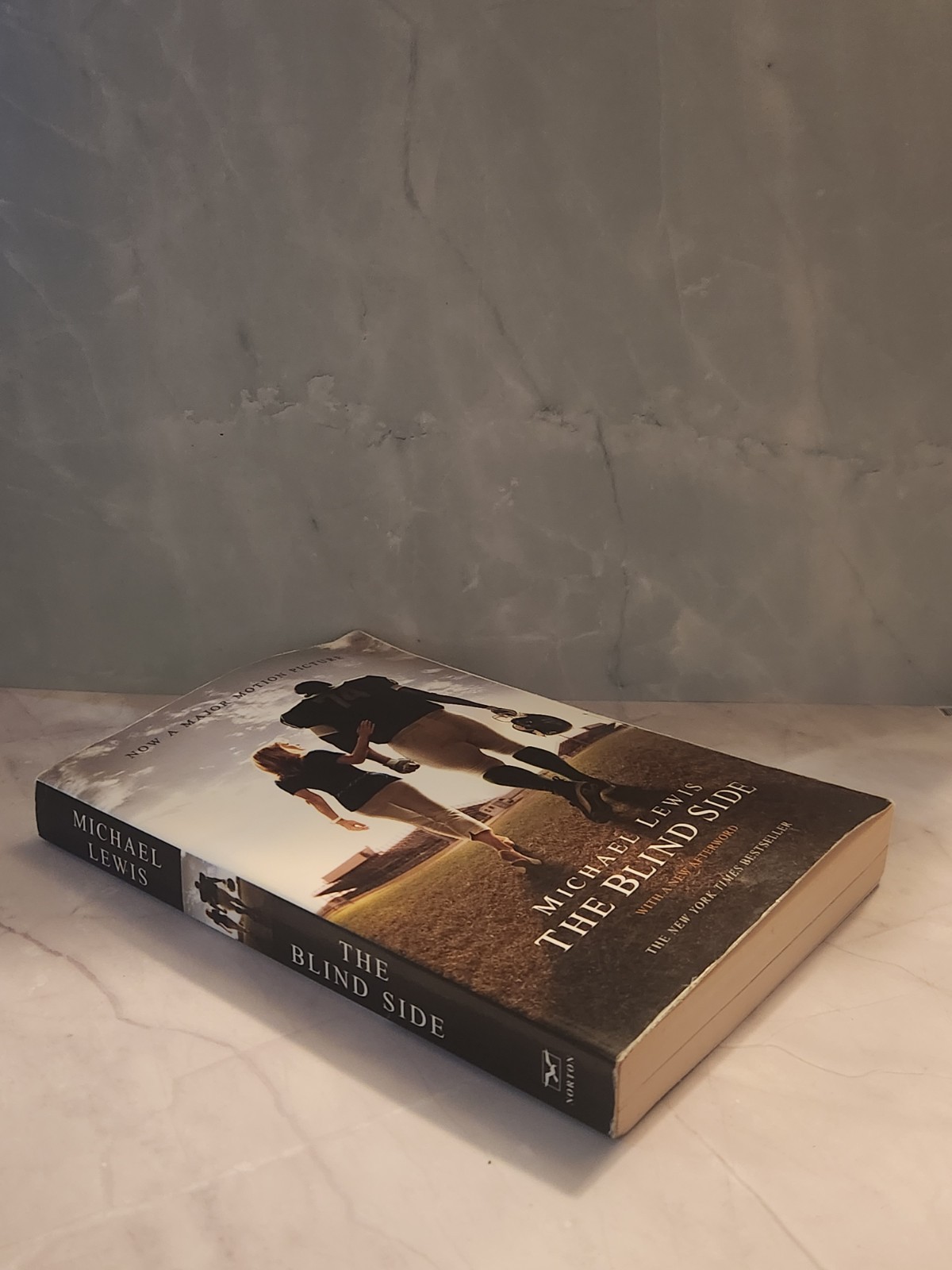 The Blind Side Michael Lewis Michael Oher Football Non-Fiction Book 10.3oz Good!
