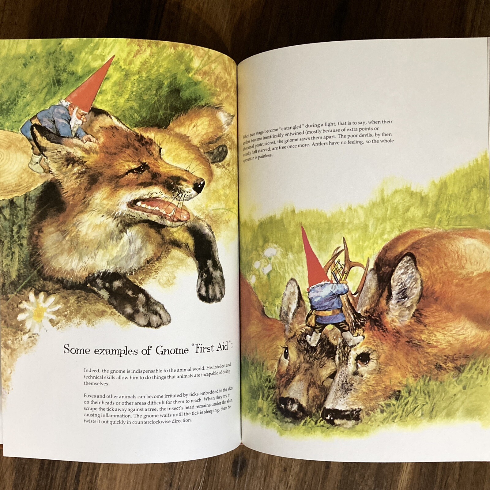 Gnomes – Wil Huygen & Rien Poortvliet (1st edition HC) Harry N. Abrams, 1977