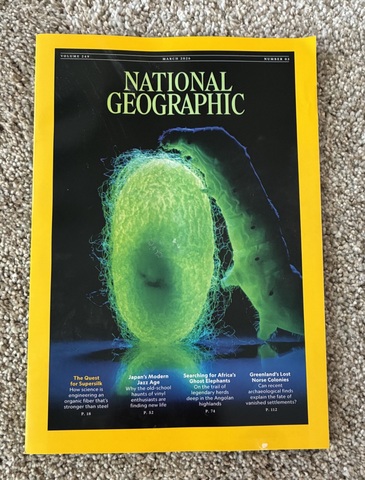 🟥 March 2026 National Geographic magazine Spider Silk, Vikings SPECIAL ISSUE