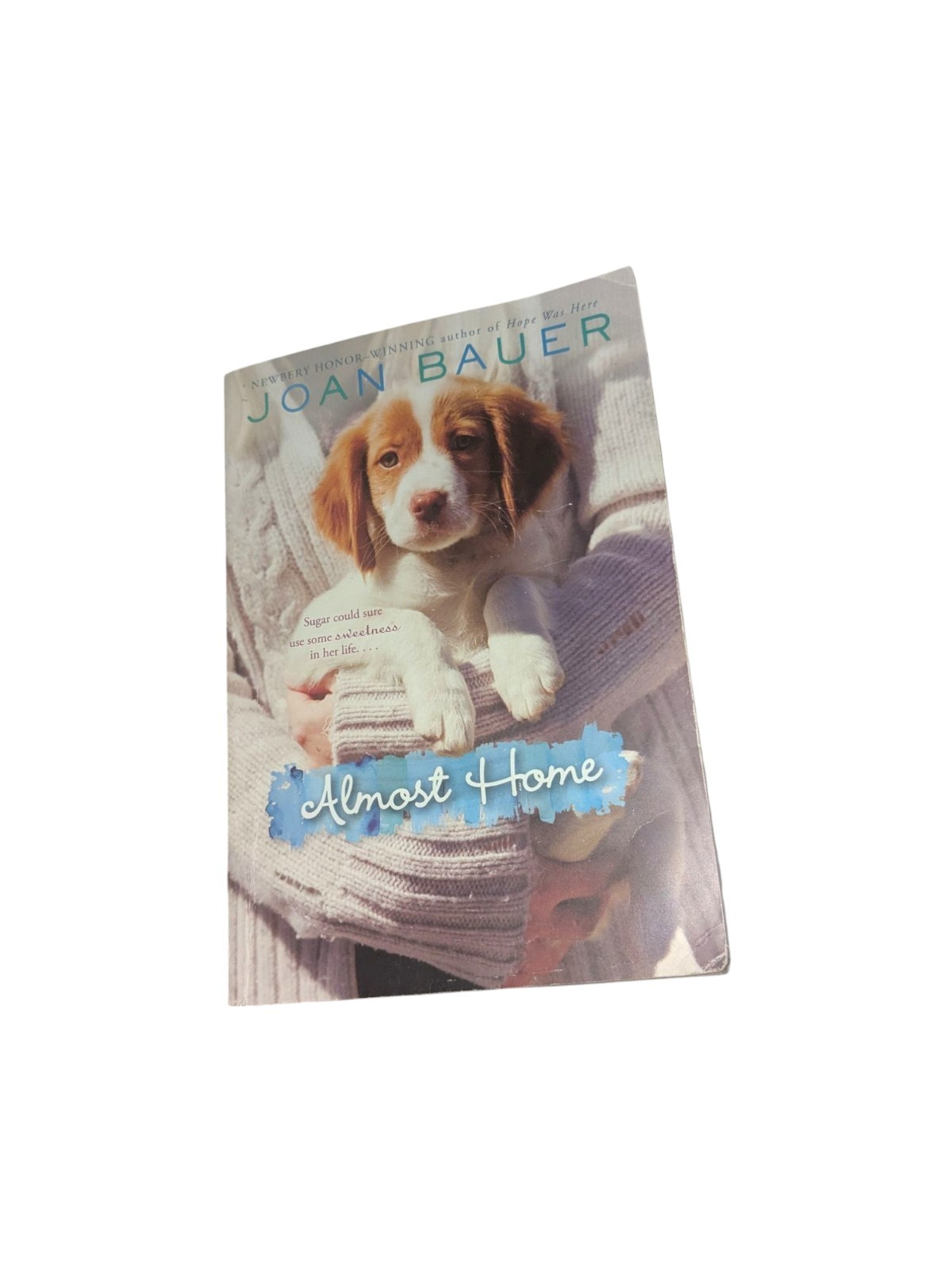 Almost Home – Paperback By Bauer, Joan – GOOD