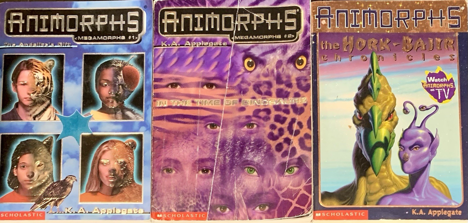 (17 sc) ANIMORPHS series K.A. Applegate fantasy YA