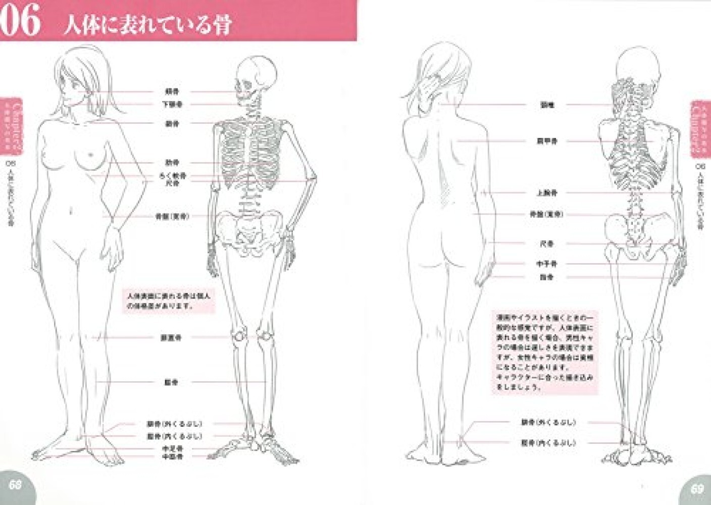 How to draw Manga character drawings learned from human anatomy diagrams